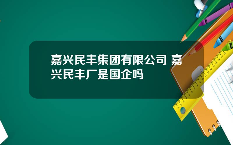 嘉兴民丰集团有限公司 嘉兴民丰厂是国企吗
